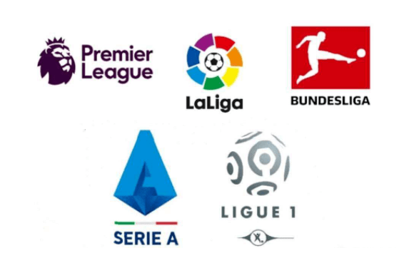 练团队成功 练团队成功